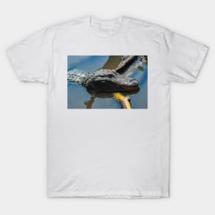 Alligator wildlife preserve 2 T-Shirt